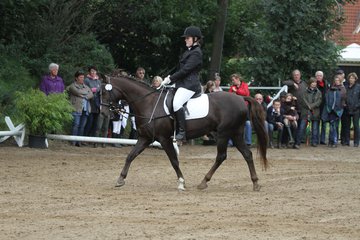 Bild 872 - WBO-Turnier am 18.9.11